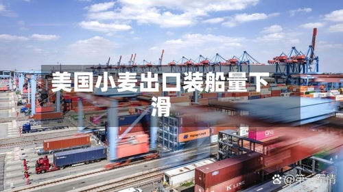 美国小麦出口装船量下滑