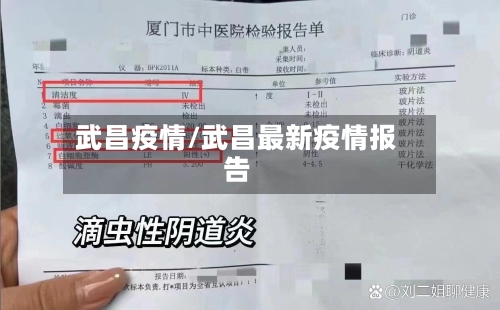 武昌疫情/武昌最新疫情报告-第2张图片