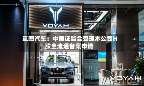 岚图汽车:中国证监会受理本公司H股全流通备案申请