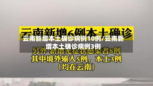 云南新增本土确诊病例10例/云南新增本土确诊病例3例-第2张图片