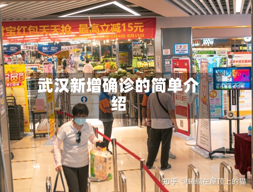 武汉新增确诊的简单介绍