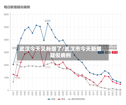 武汉今天又新增了/武汉市今天新增疑似病例-第3张图片